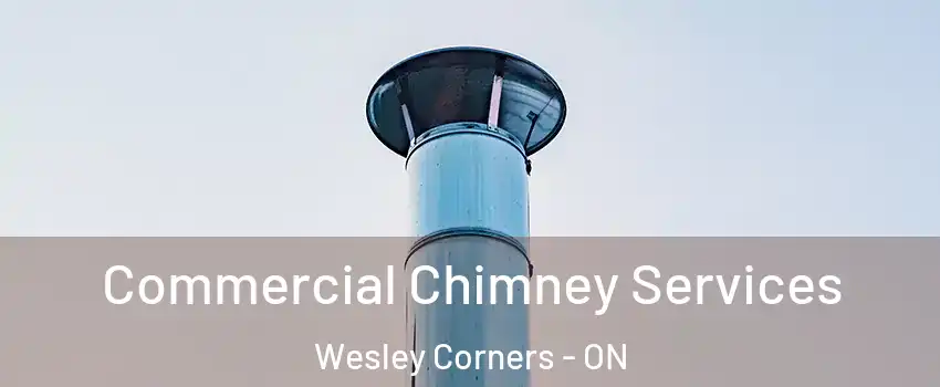  Commercial Chimney Services Wesley Corners - ON