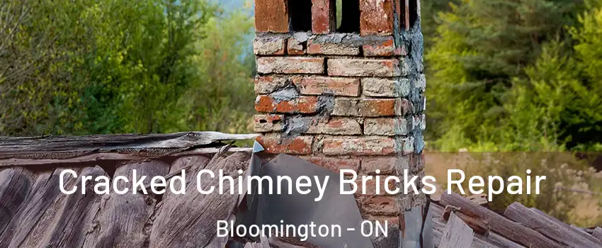  Cracked Chimney Bricks Repair Bloomington - ON