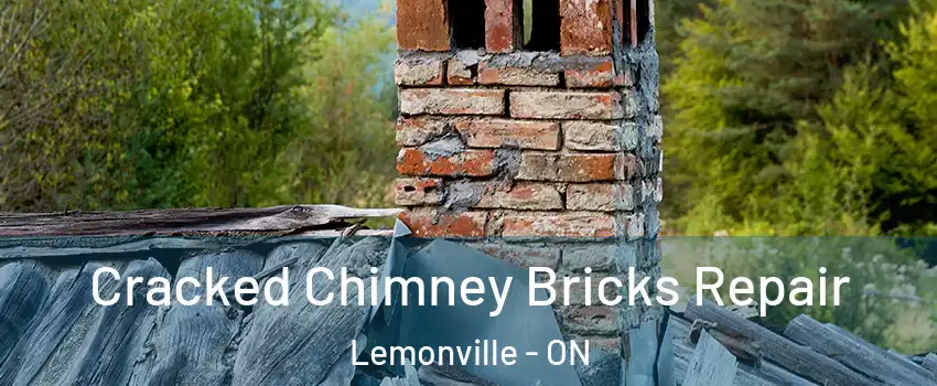  Cracked Chimney Bricks Repair Lemonville - ON