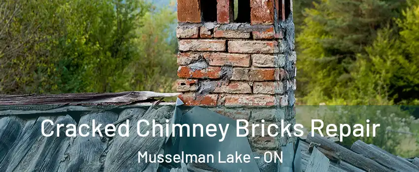 Cracked Chimney Bricks Repair Musselman Lake - ON