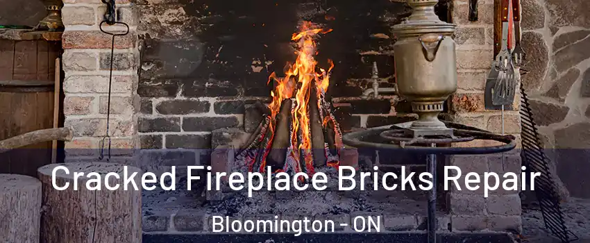  Cracked Fireplace Bricks Repair Bloomington - ON