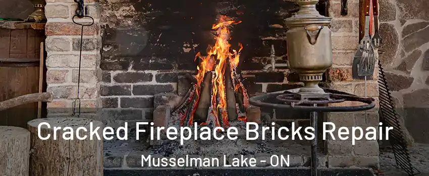  Cracked Fireplace Bricks Repair Musselman Lake - ON