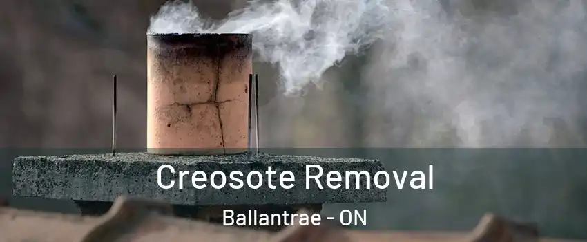  Creosote Removal Ballantrae - ON