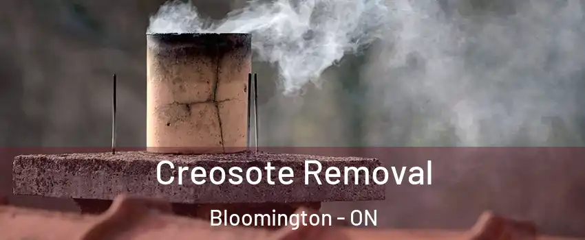  Creosote Removal Bloomington - ON