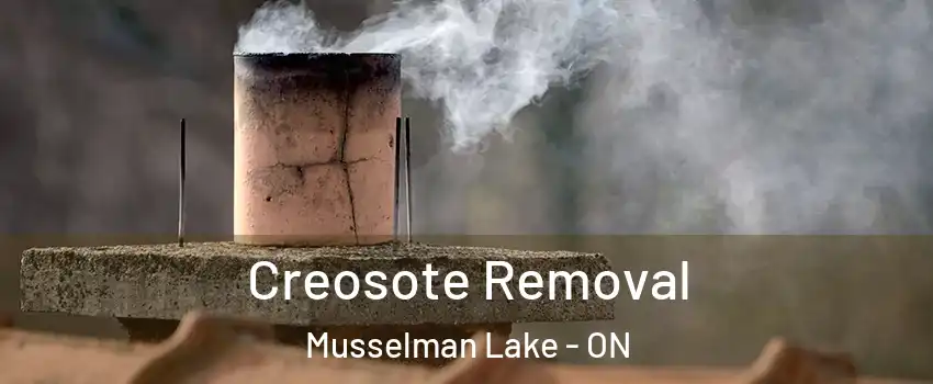  Creosote Removal Musselman Lake - ON