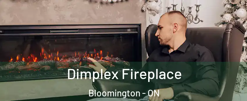  Dimplex Fireplace Bloomington - ON