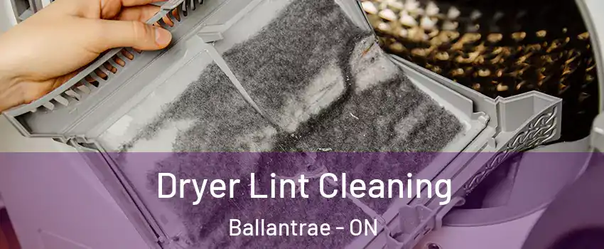  Dryer Lint Cleaning Ballantrae - ON