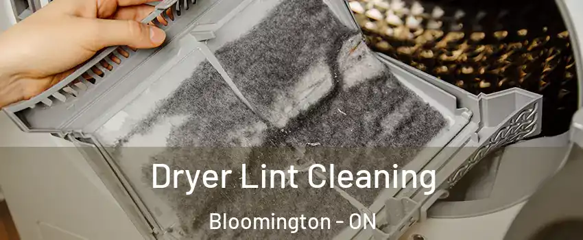  Dryer Lint Cleaning Bloomington - ON