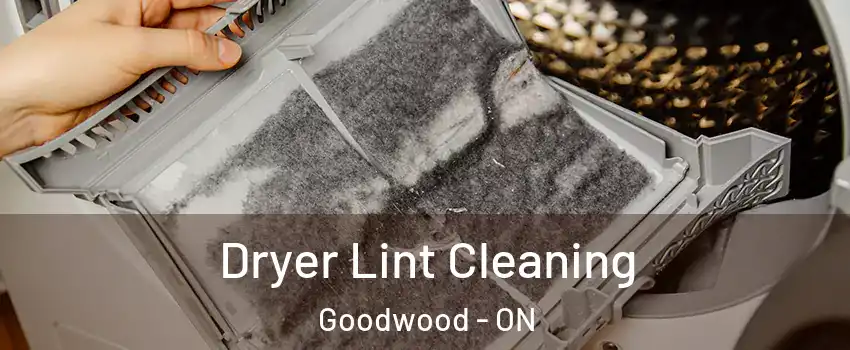  Dryer Lint Cleaning Goodwood - ON