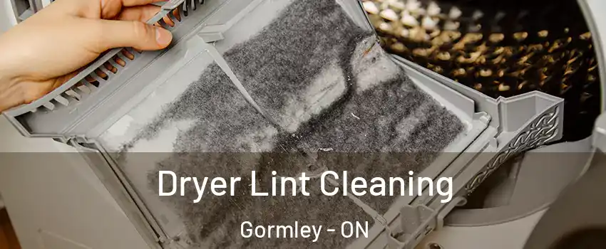  Dryer Lint Cleaning Gormley - ON