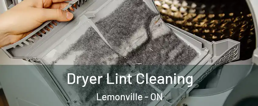  Dryer Lint Cleaning Lemonville - ON