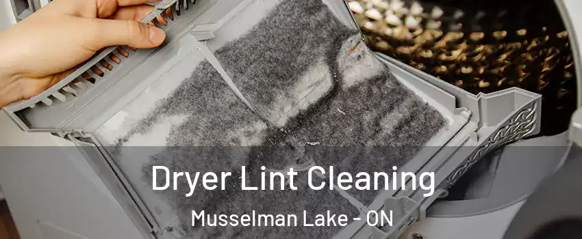  Dryer Lint Cleaning Musselman Lake - ON