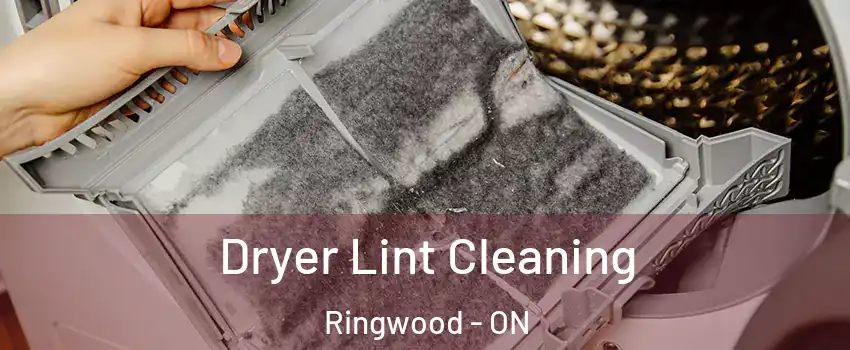 Dryer Lint Cleaning Ringwood - ON