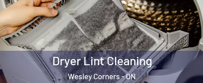  Dryer Lint Cleaning Wesley Corners - ON
