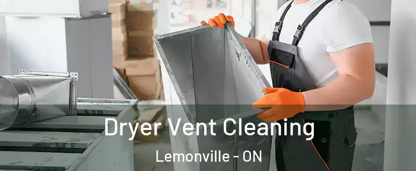  Dryer Vent Cleaning Lemonville - ON