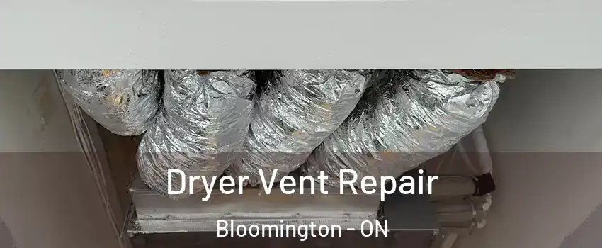  Dryer Vent Repair Bloomington - ON