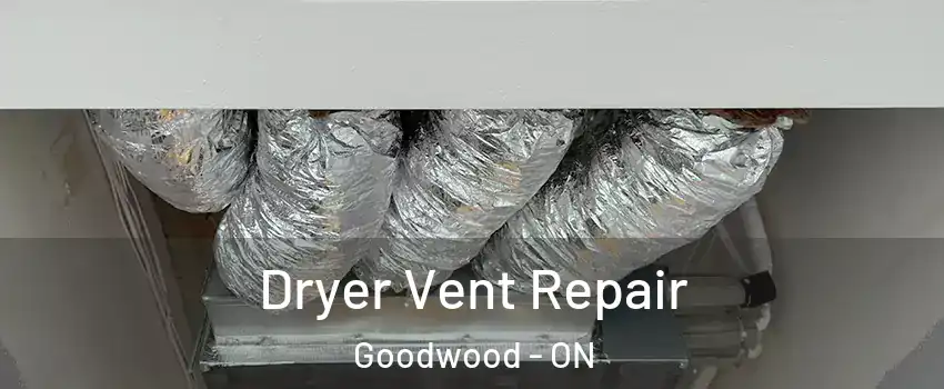  Dryer Vent Repair Goodwood - ON