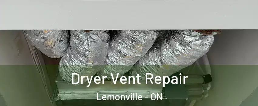  Dryer Vent Repair Lemonville - ON