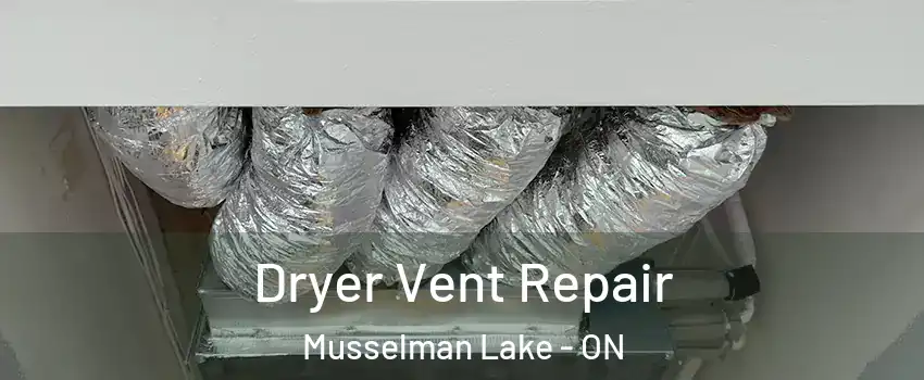  Dryer Vent Repair Musselman Lake - ON