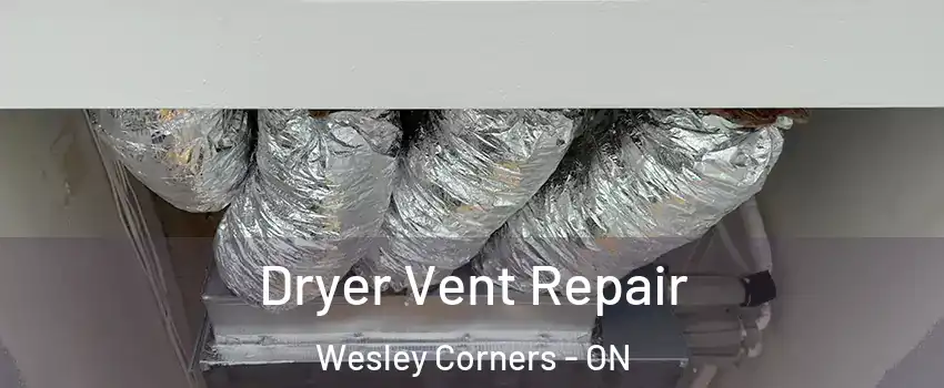  Dryer Vent Repair Wesley Corners - ON