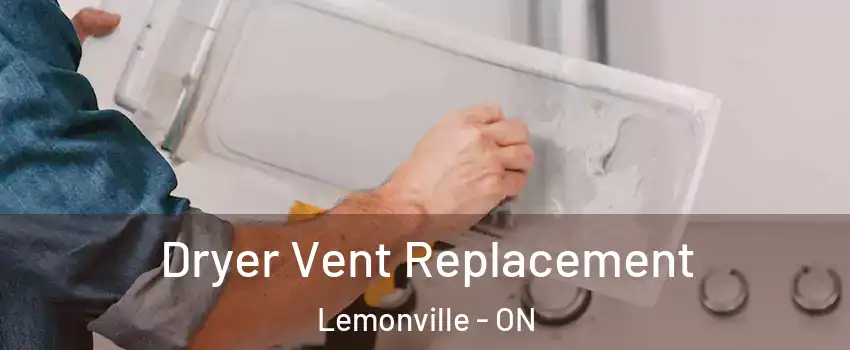  Dryer Vent Replacement Lemonville - ON