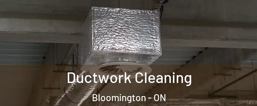 Ductwork Cleaning Bloomington - ON