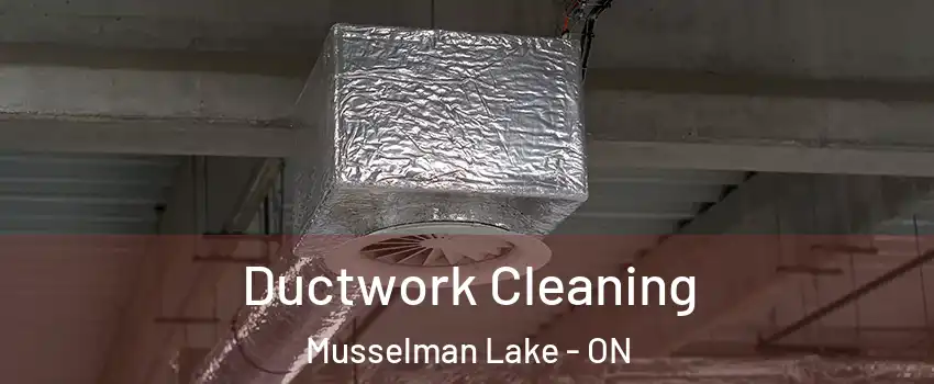  Ductwork Cleaning Musselman Lake - ON