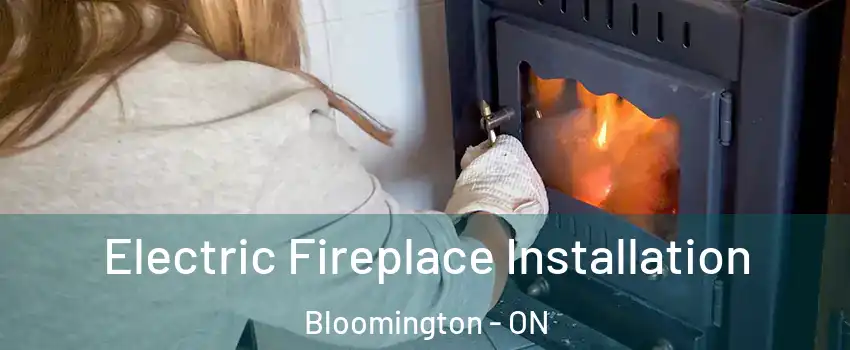  Electric Fireplace Installation Bloomington - ON