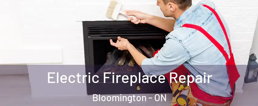  Electric Fireplace Repair Bloomington - ON