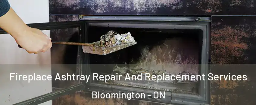  Fireplace Ashtray Repair And Replacement Services Bloomington - ON
