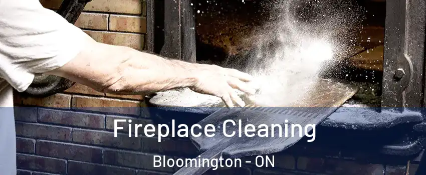  Fireplace Cleaning Bloomington - ON