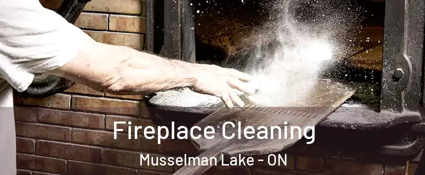  Fireplace Cleaning Musselman Lake - ON