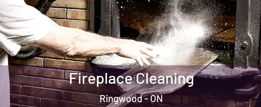  Fireplace Cleaning Ringwood - ON