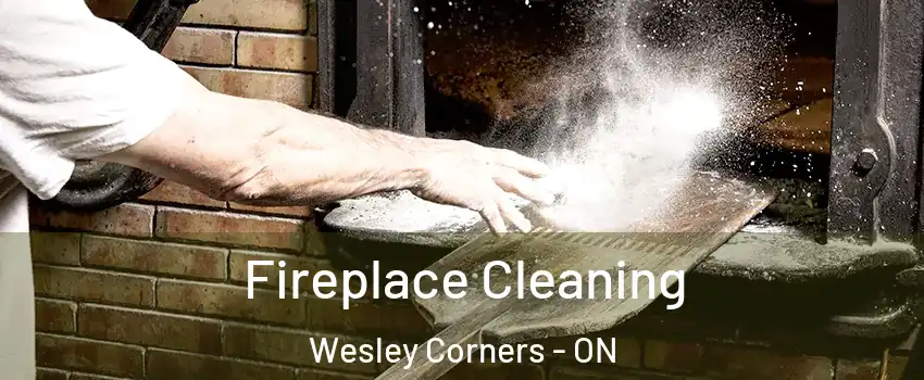  Fireplace Cleaning Wesley Corners - ON