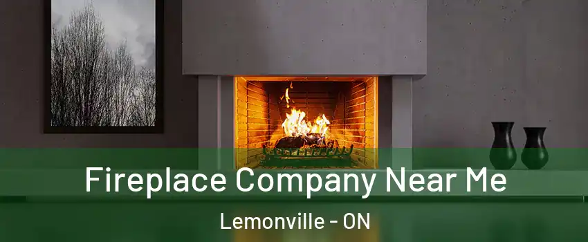  Fireplace Company Near Me Lemonville - ON