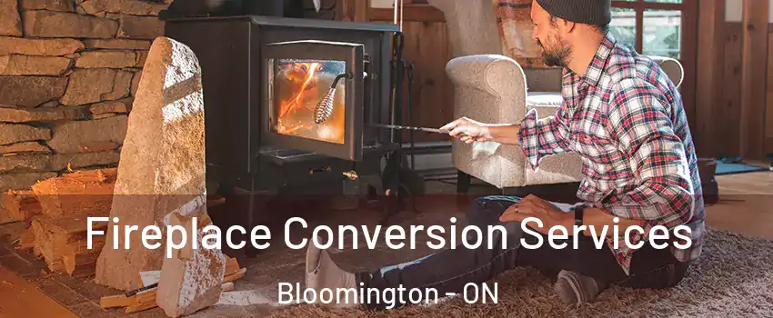 Fireplace Conversion Services Bloomington - ON
