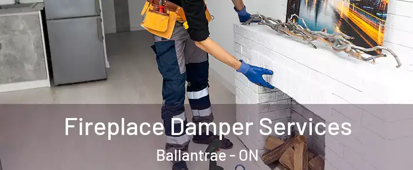  Fireplace Damper Services Ballantrae - ON