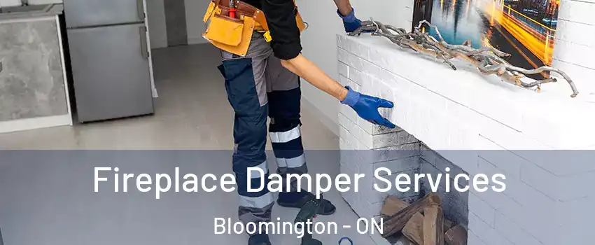  Fireplace Damper Services Bloomington - ON