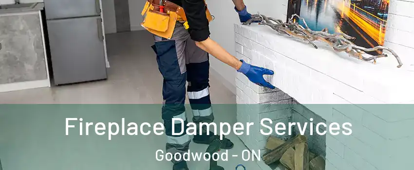  Fireplace Damper Services Goodwood - ON