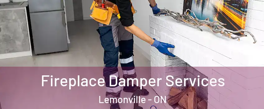  Fireplace Damper Services Lemonville - ON