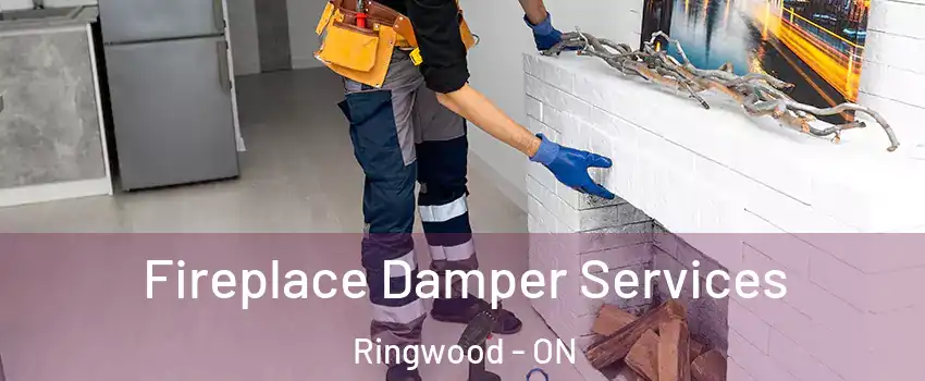  Fireplace Damper Services Ringwood - ON