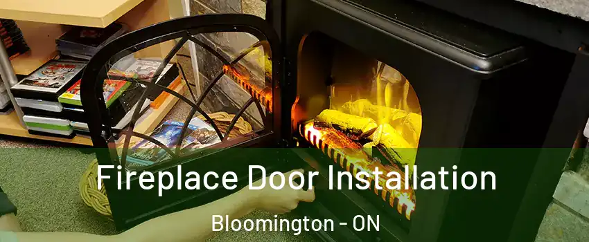  Fireplace Door Installation Bloomington - ON