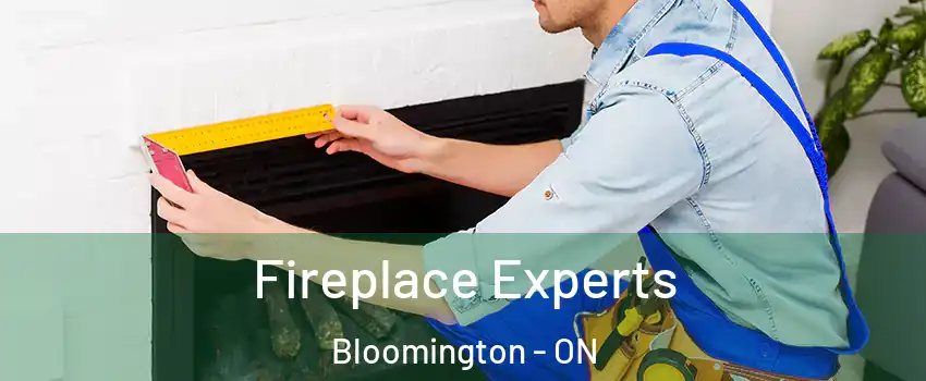  Fireplace Experts Bloomington - ON