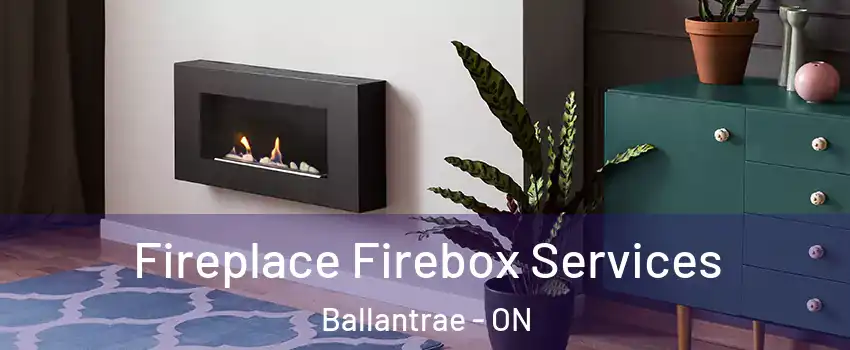  Fireplace Firebox Services Ballantrae - ON