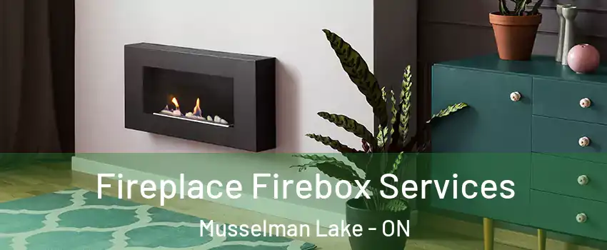  Fireplace Firebox Services Musselman Lake - ON