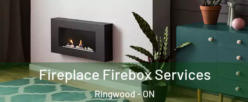  Fireplace Firebox Services Ringwood - ON