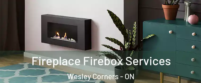  Fireplace Firebox Services Wesley Corners - ON