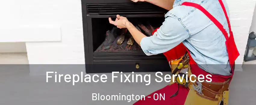  Fireplace Fixing Services Bloomington - ON