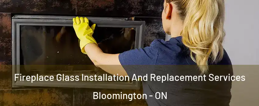  Fireplace Glass Installation And Replacement Services Bloomington - ON