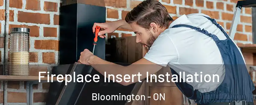  Fireplace Insert Installation Bloomington - ON
